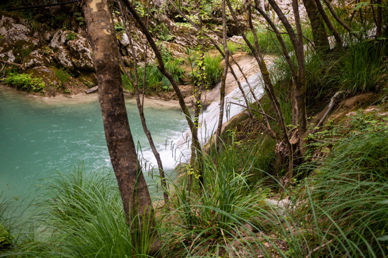 water rushing over rocks in the forst