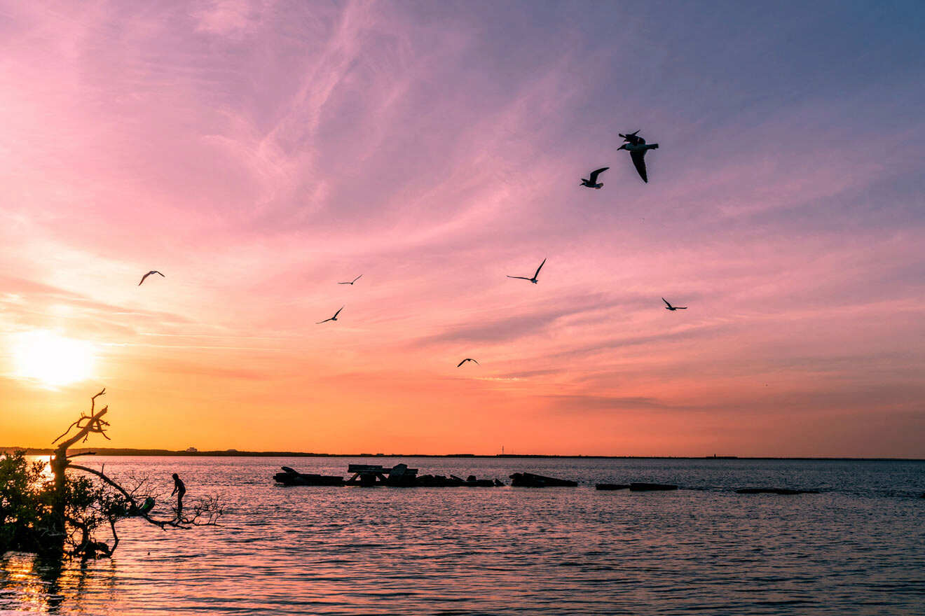 Tampa Bay Florida sunset