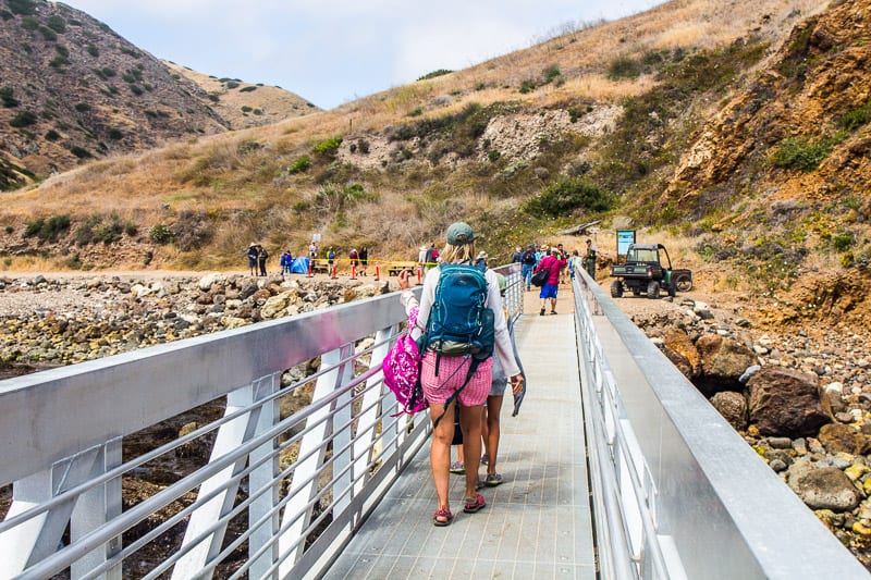 people walking on a bridge