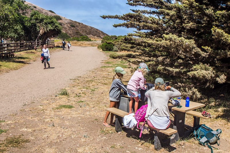 people sitting at a picnic table