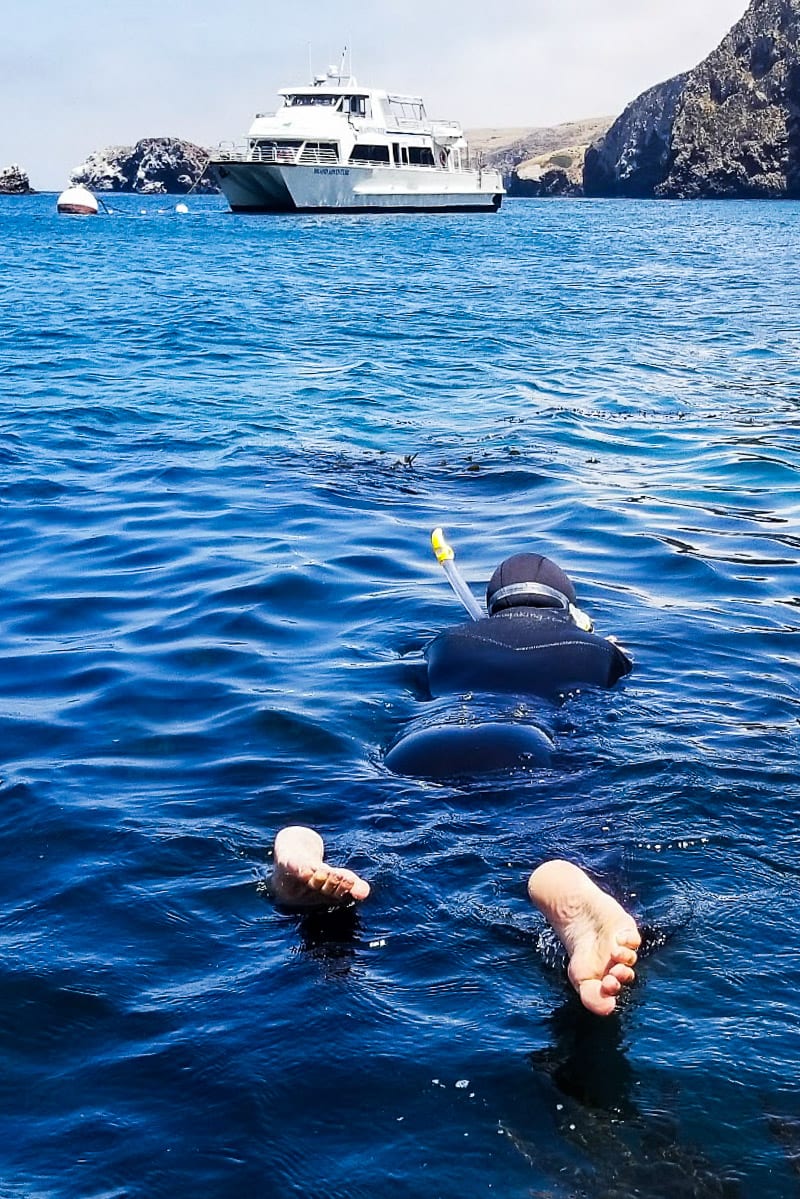 man snorkeling in the ocean