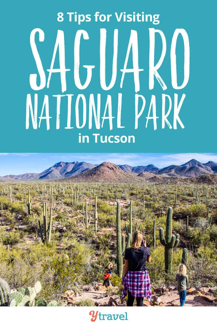 saguaro national park tucson