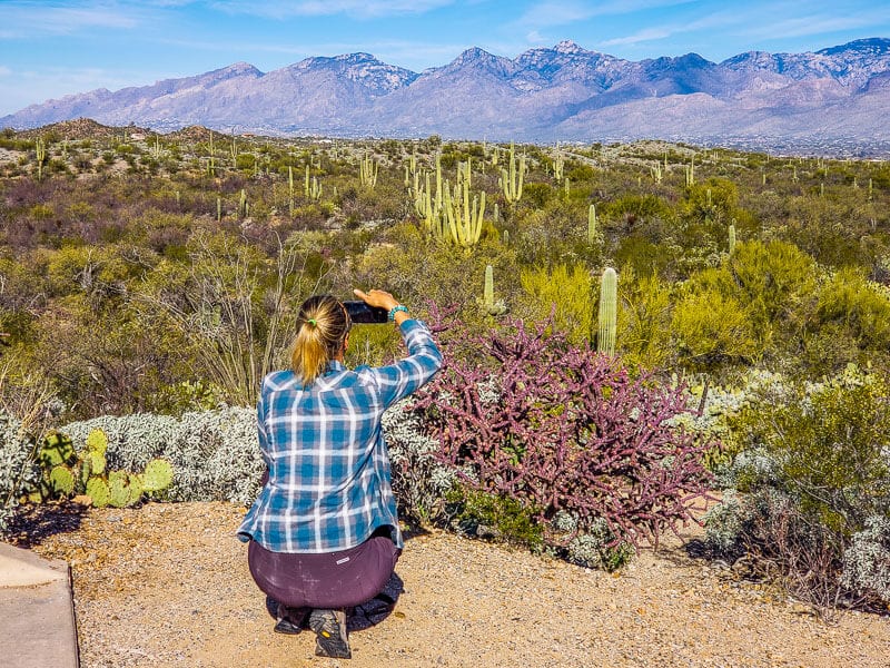 caz taking photos of field of cactus with mountains in background 