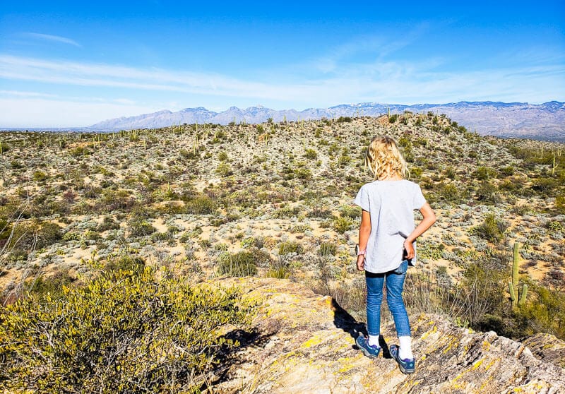 Savannah looking at view Javelina Rocks, 