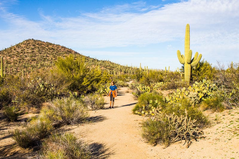  kalyra wlakin gon the dirt Sendero Esperenza Trail next to saguaro cactus