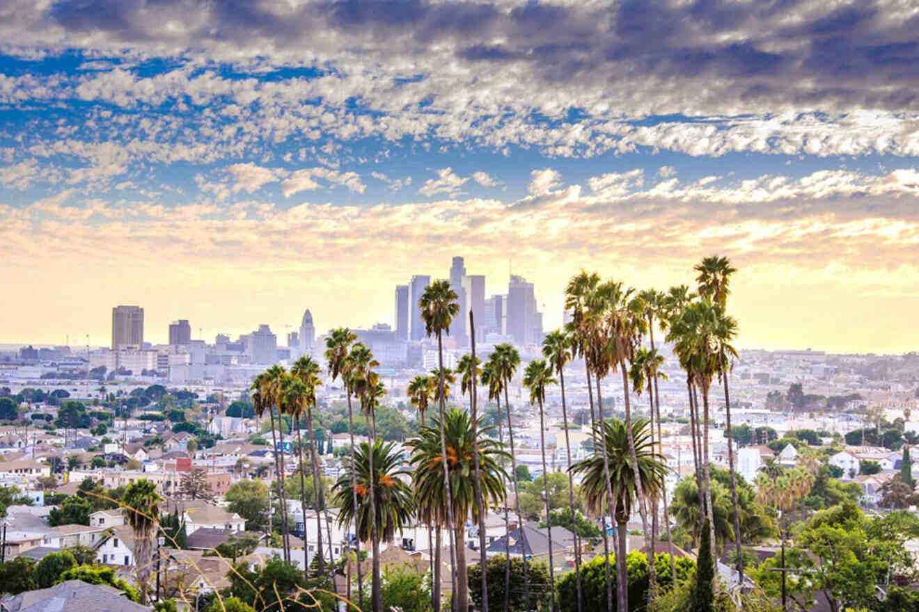 a view of a city with palm trees in the foreground