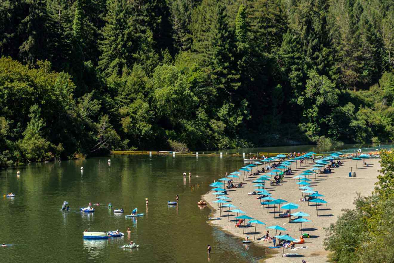 a bunch of umbrellas that are on a river beach