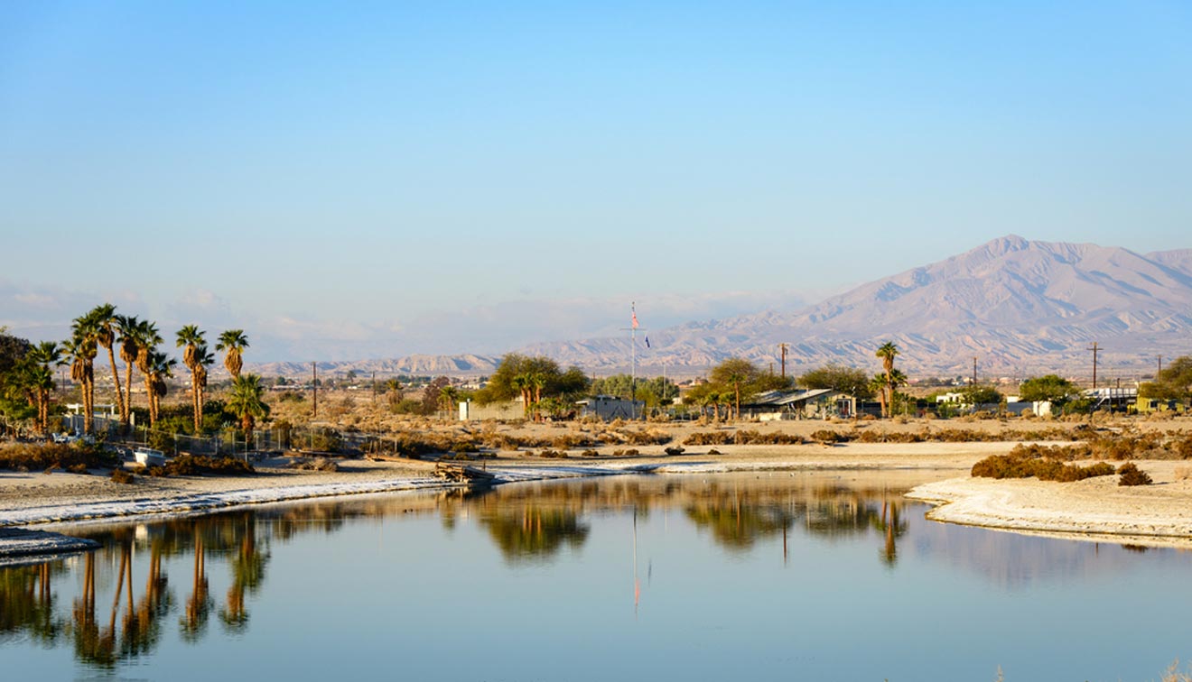 a body of water surrounded by palm trees