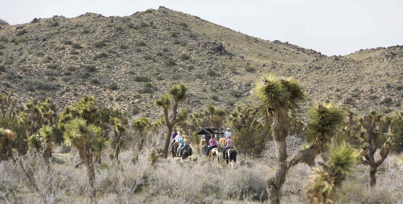 People horseback riding in the desert