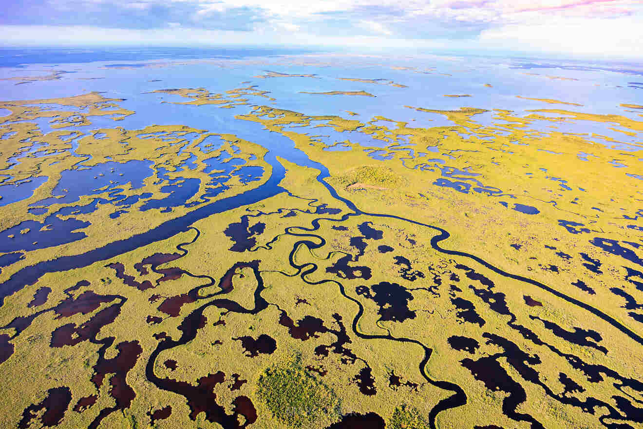 Aerial view of Everglades National Park