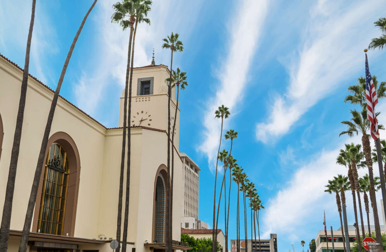 palm trees line the street in front of a building