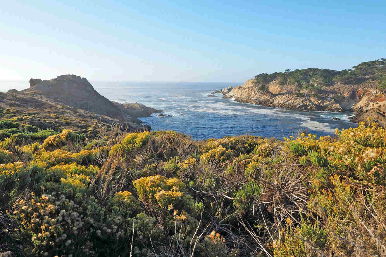 a scenic view of the ocean from a hill