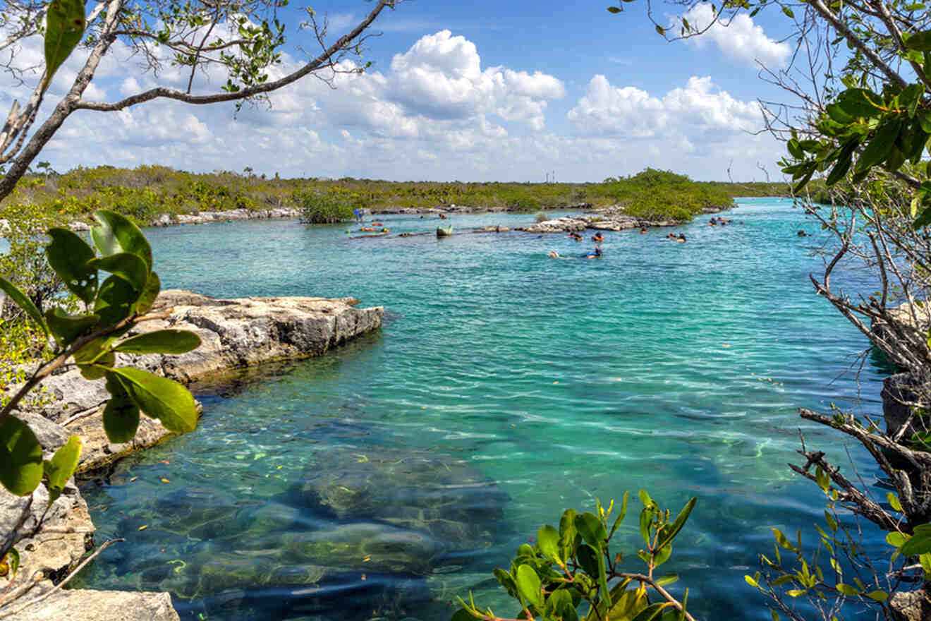 a body of water surrounded by trees and rocks