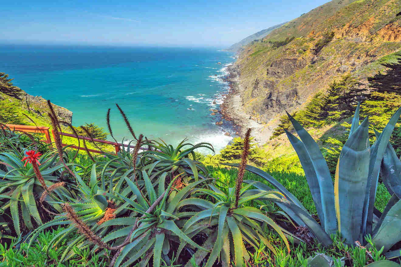 a lush green hillside next to a body of water