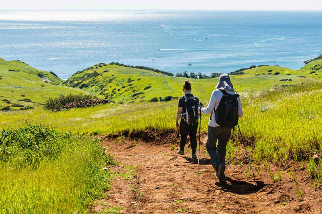 a couple of people walking down a dirt road