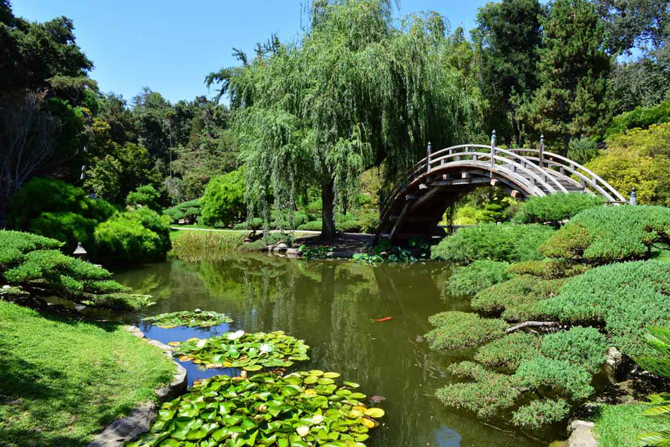 a small bridge over a small pond in a park