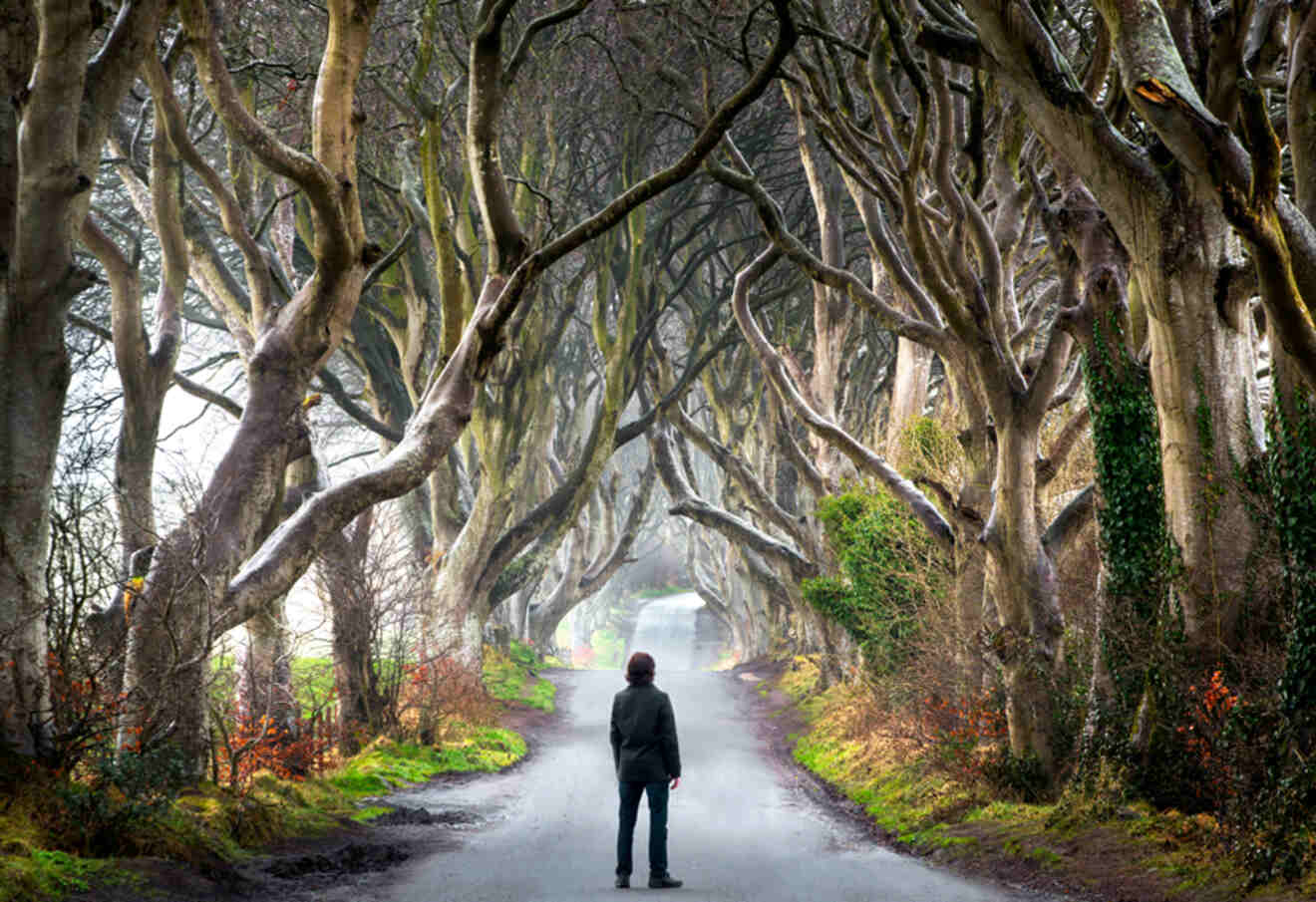 a man standing in the middle of a road surrounded by trees