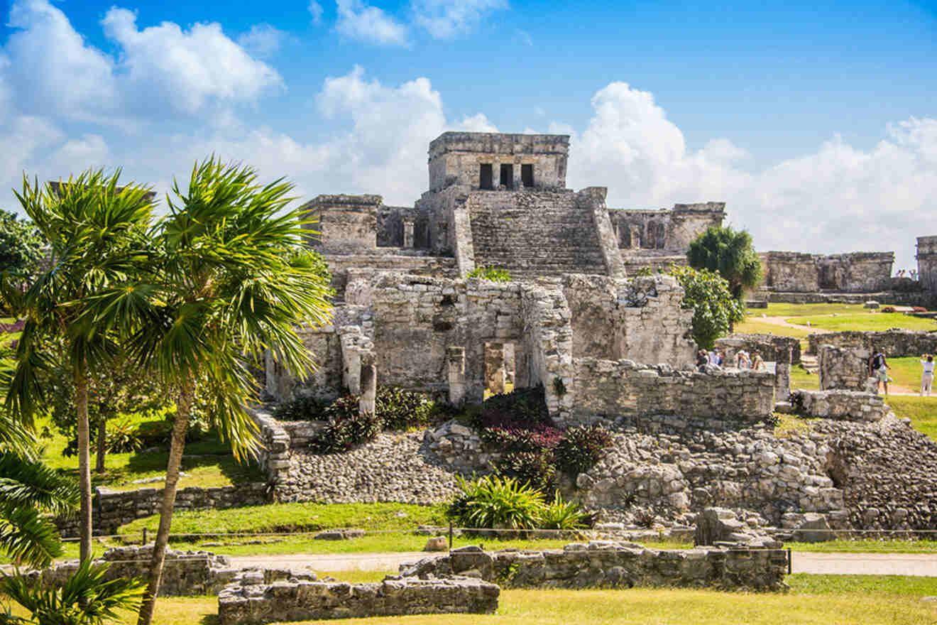 the ruins of the ancient city are surrounded by palm trees