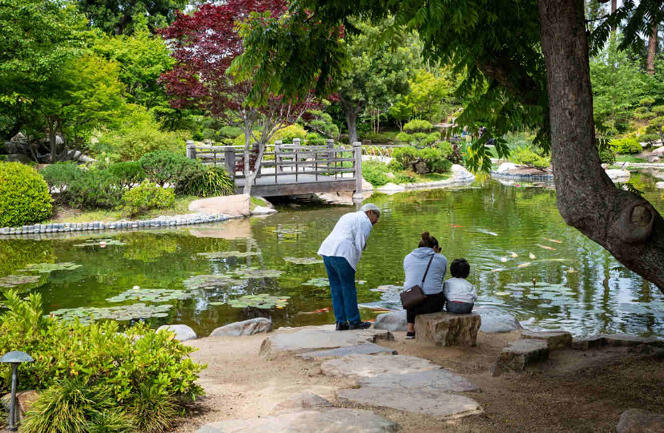 People sitting at the Earl Burn Miller Japanese Garden