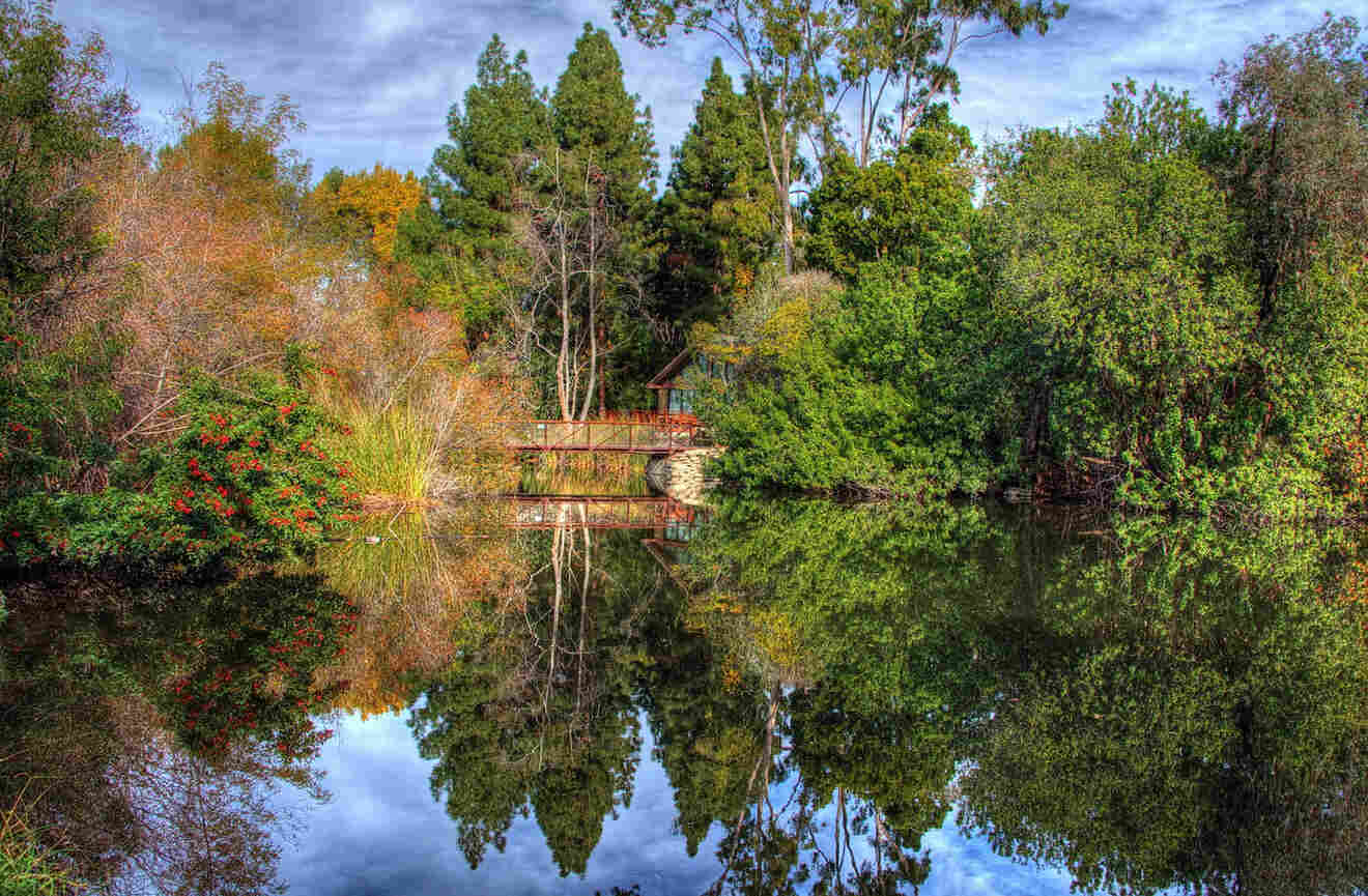 a body of water surrounded by trees and a bridge