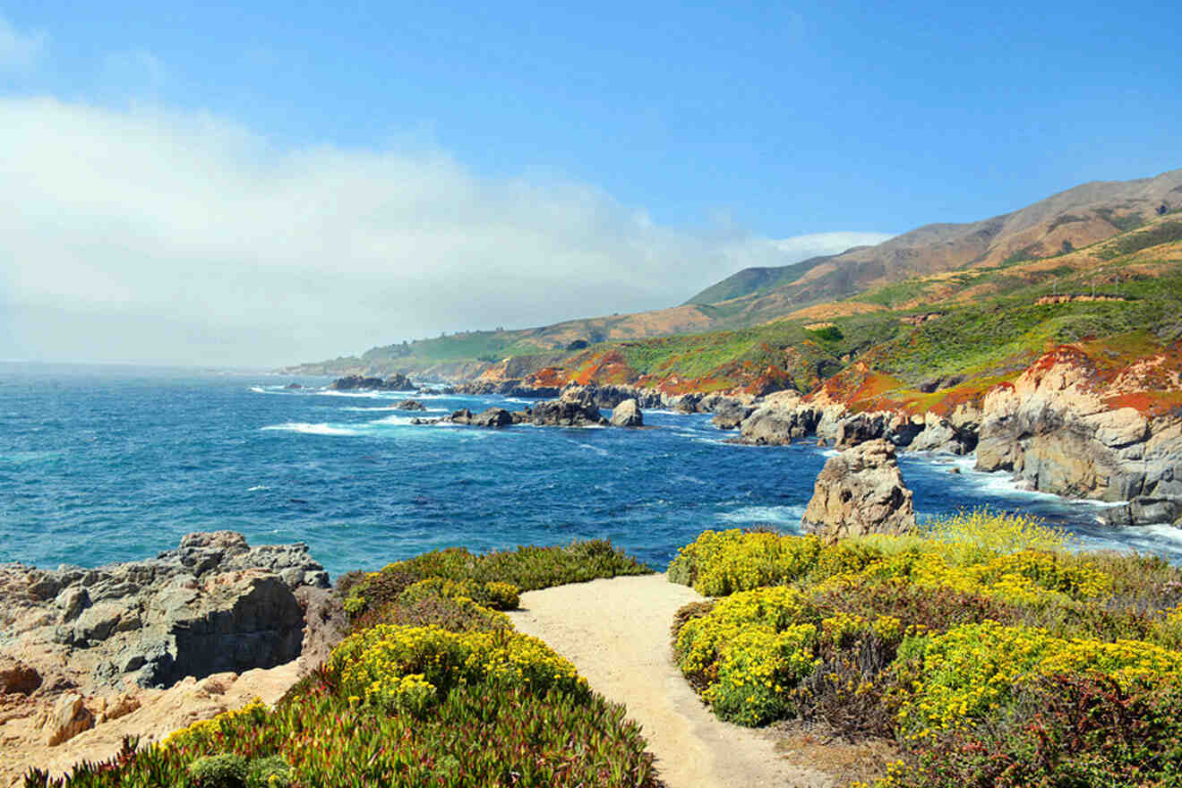 a scenic view of the ocean with a path leading to it