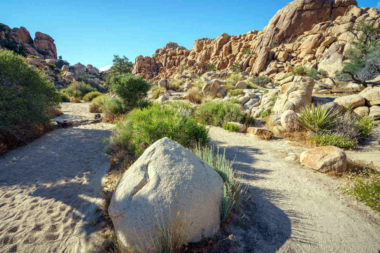 a large rock sitting on top of a dirt road