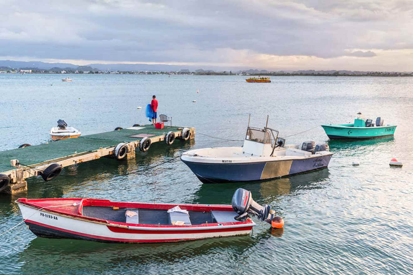 fishing boats and a man standing on a dock next to boats