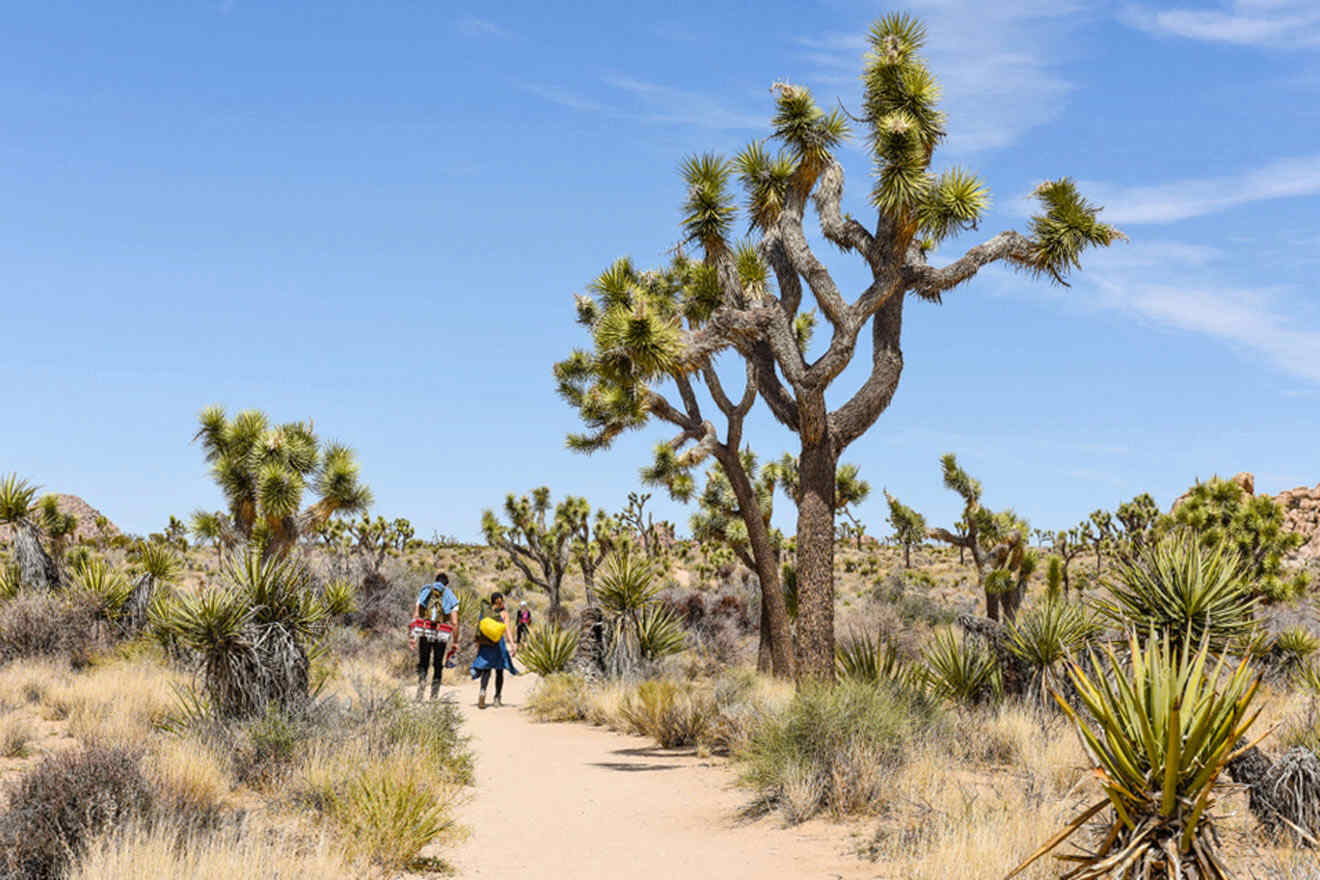 a couple of people that are walking in the desert