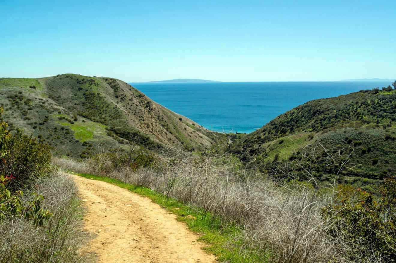 a dirt path leading to the ocean on a sunny day