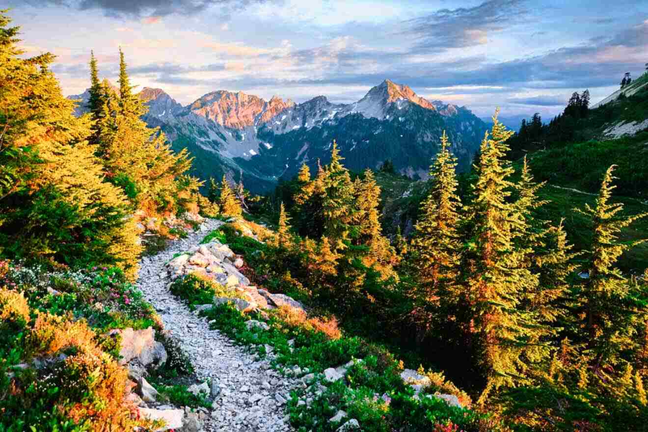 a path in the middle of a forest with mountains in the background