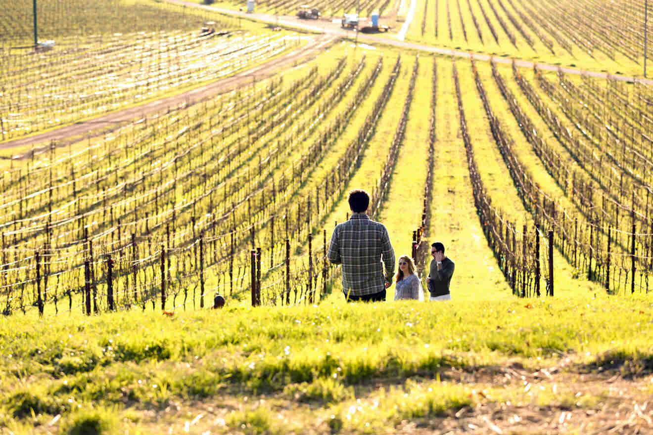 a couple of people standing in the middle of a field