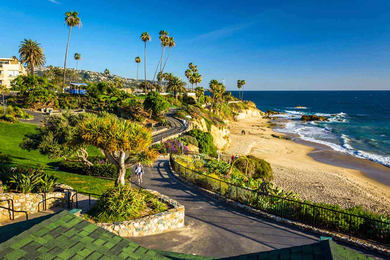 a scenic view of a beach with palm trees