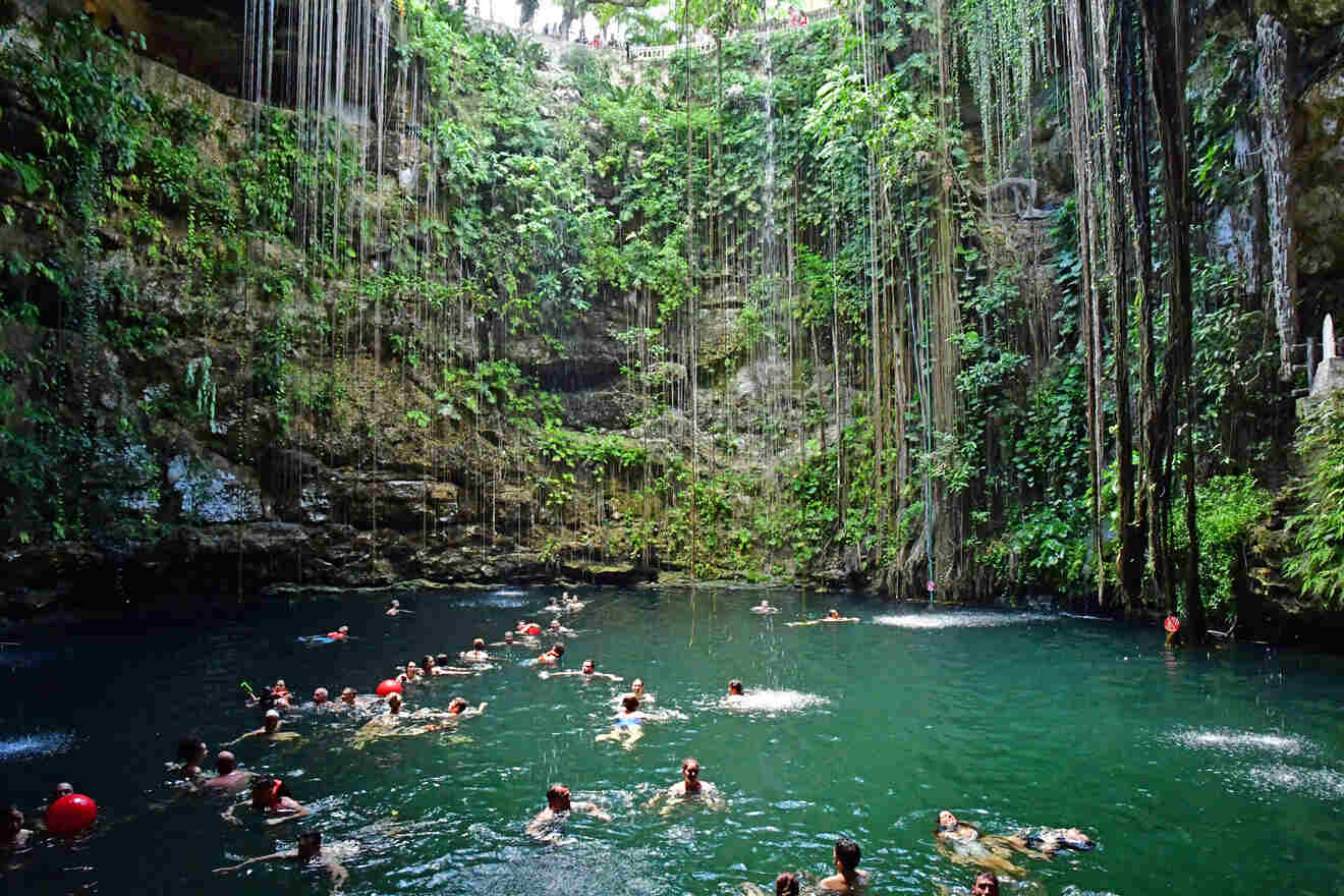 lots of tourists swimming in a cenote