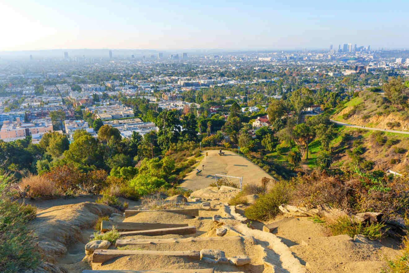 a landscape with trees and a city in the background