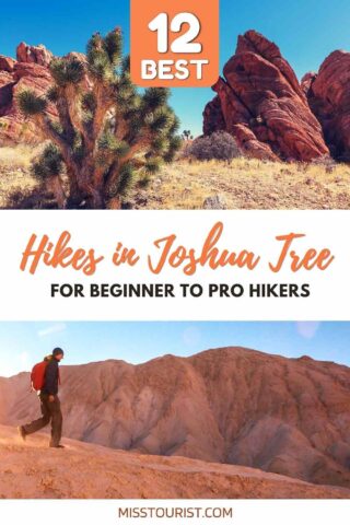 man hiking in Joshua tree and a landscape