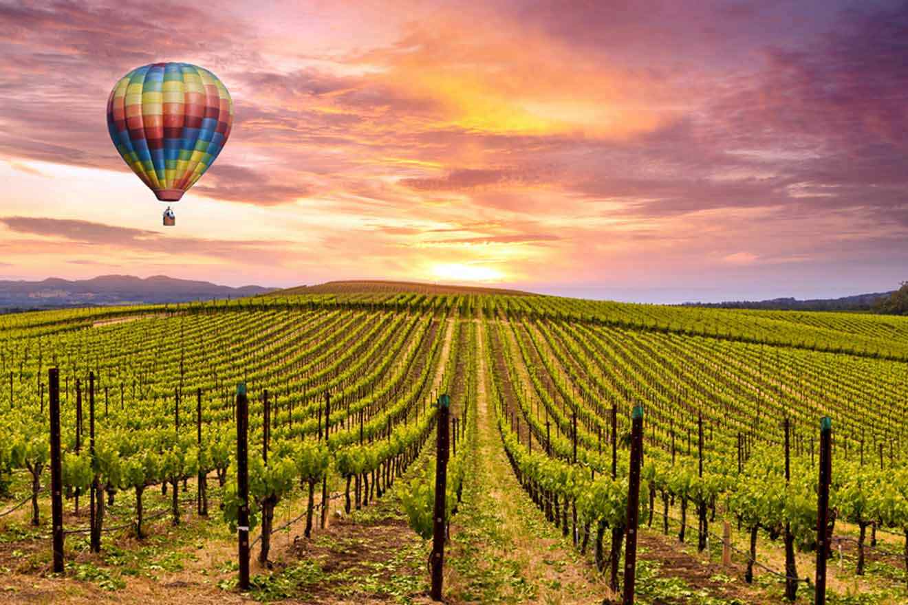 a hot air balloon flying over a vineyard