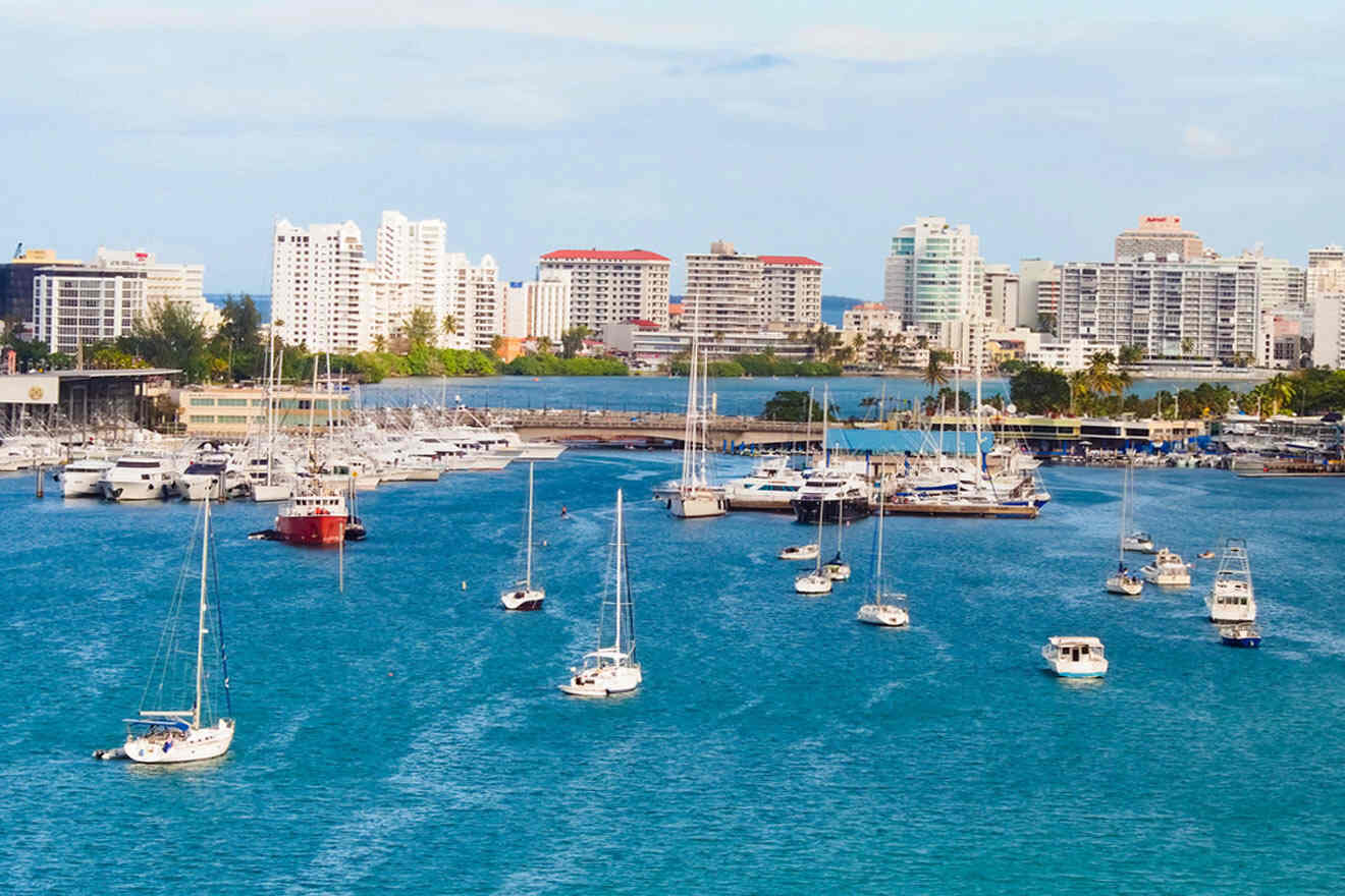 a harbor filled with lots of small boats