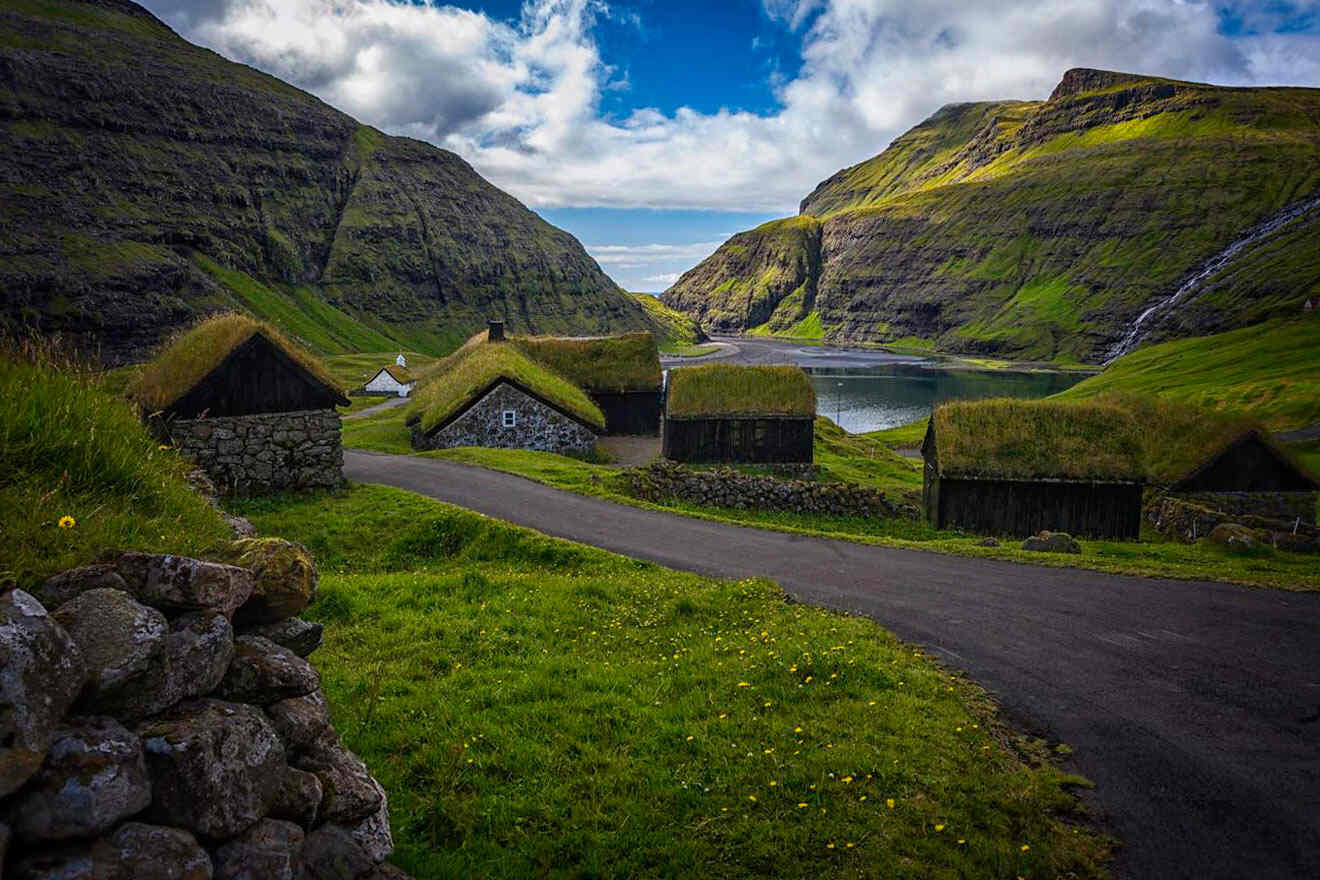 a small village with grass roofs on the side of a road