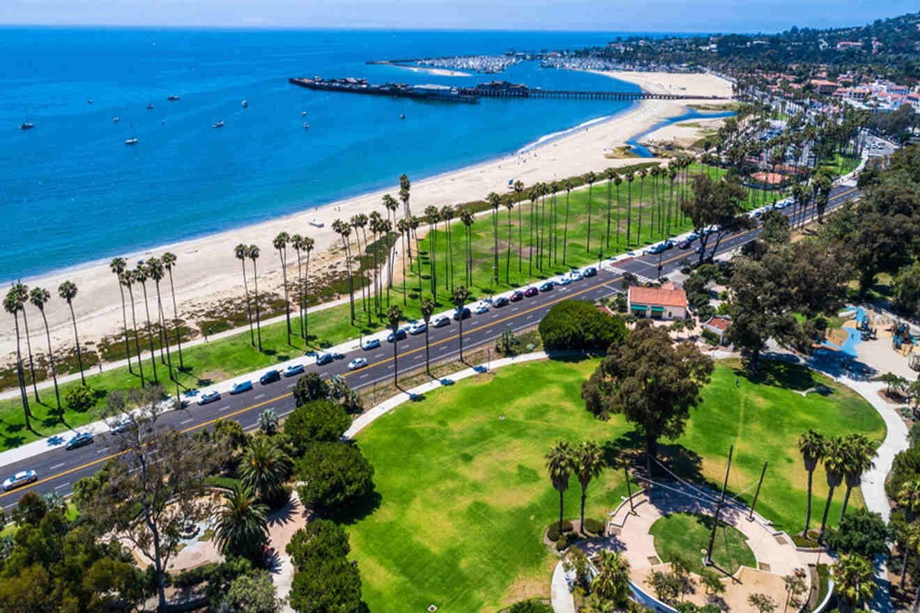 an aerial view of a beach with palm trees