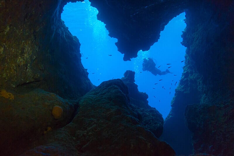 The Butterfly Exit of Cave Tunnel Dive Site