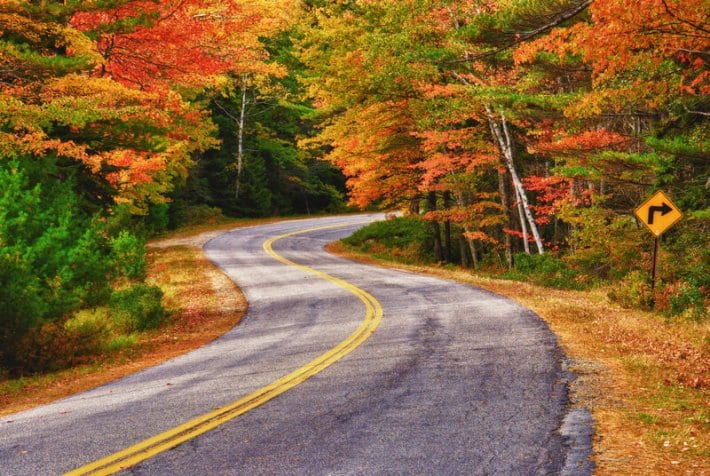 fall foliage on side of road