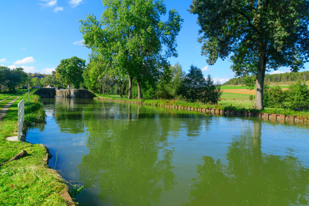 tree lined burgundy canal