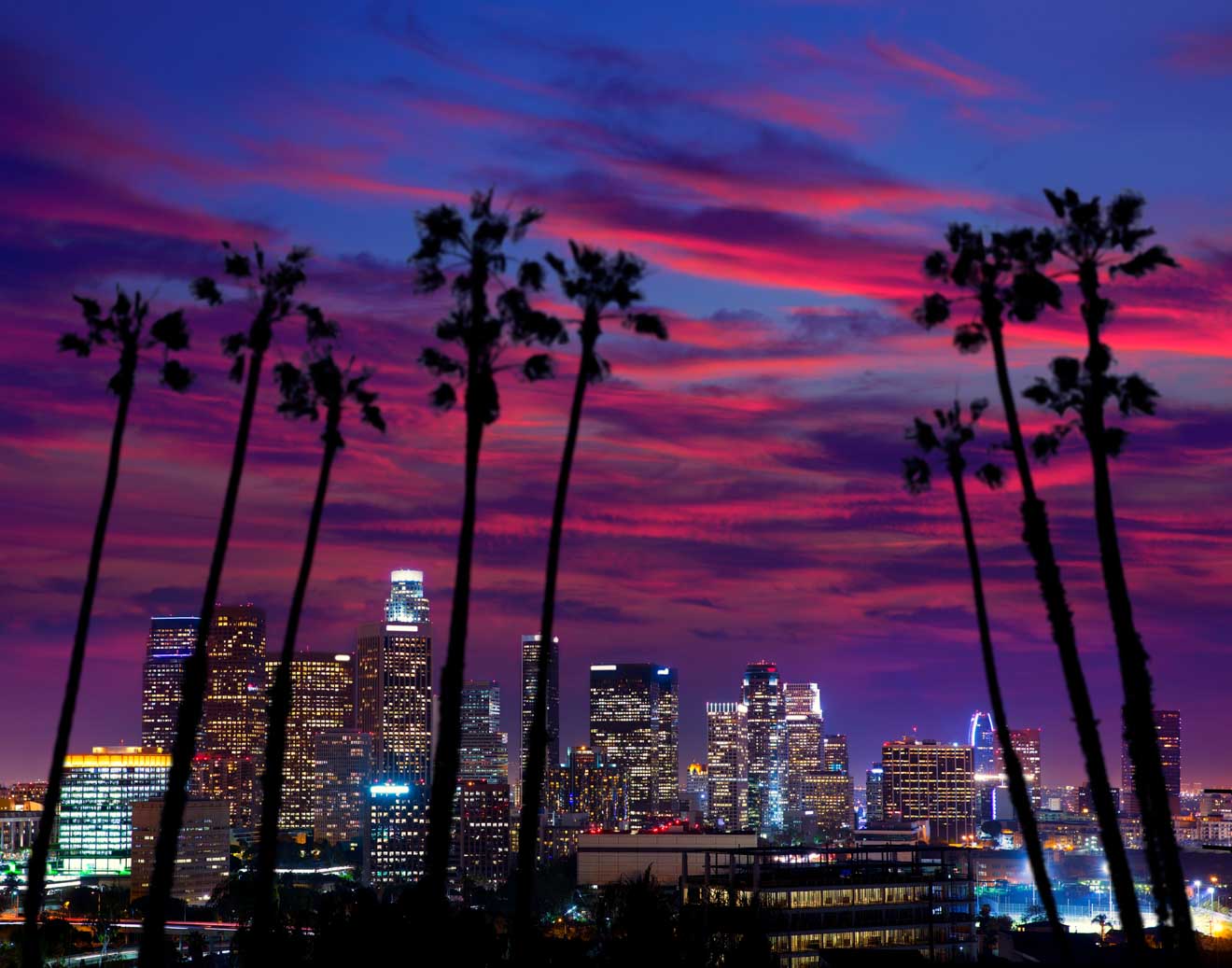 a city skyline at night with palm trees in the foreground