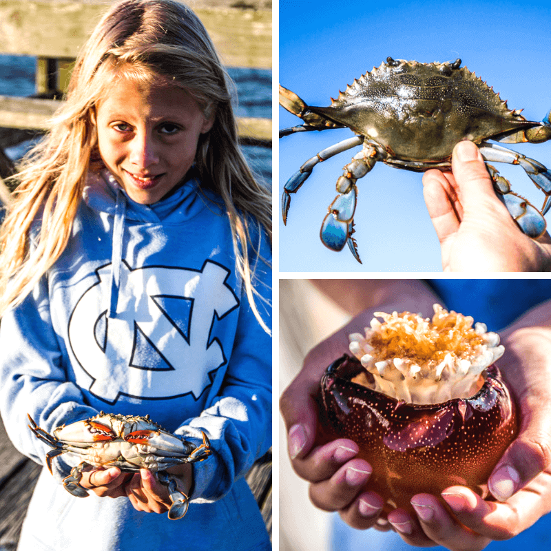 kids holding crabs and jellyfish