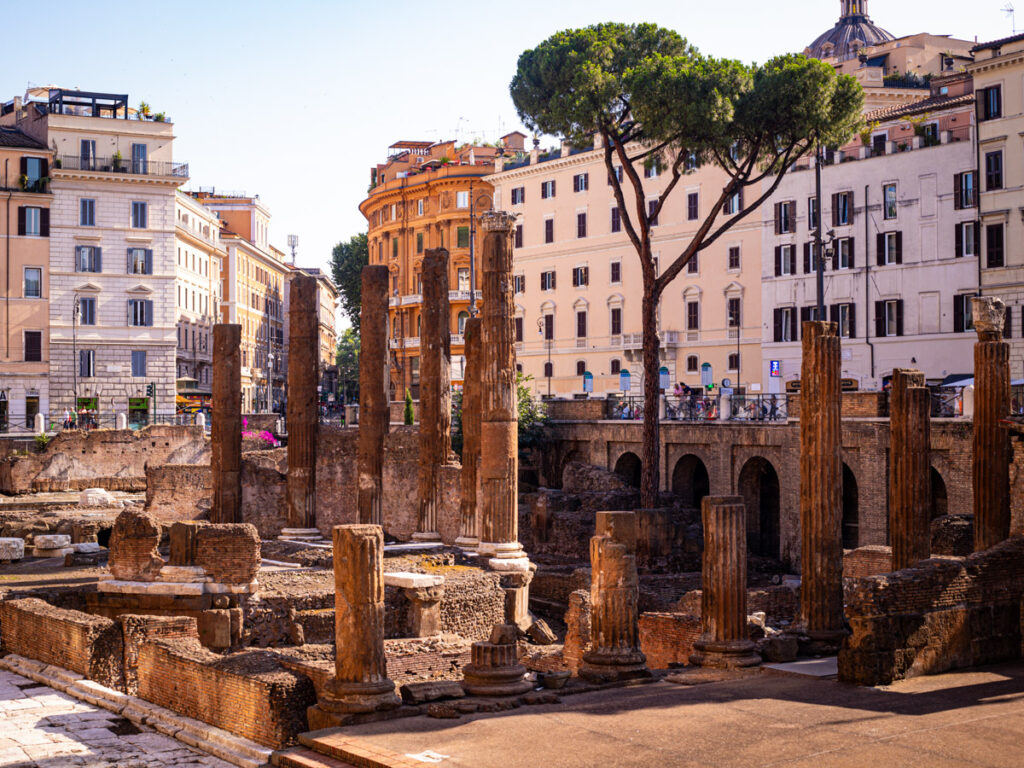 cat temple in rome