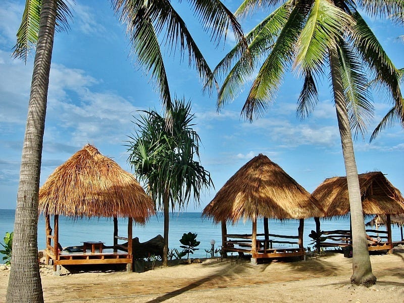 villas and palm trees on a beach