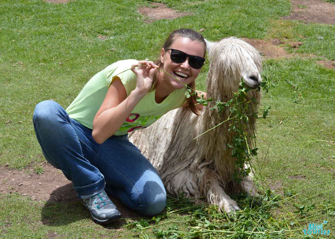 woman next to llama