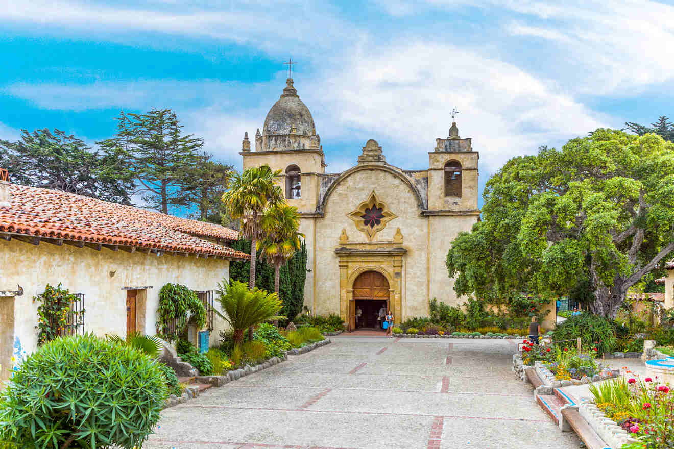 church surrounded by trees