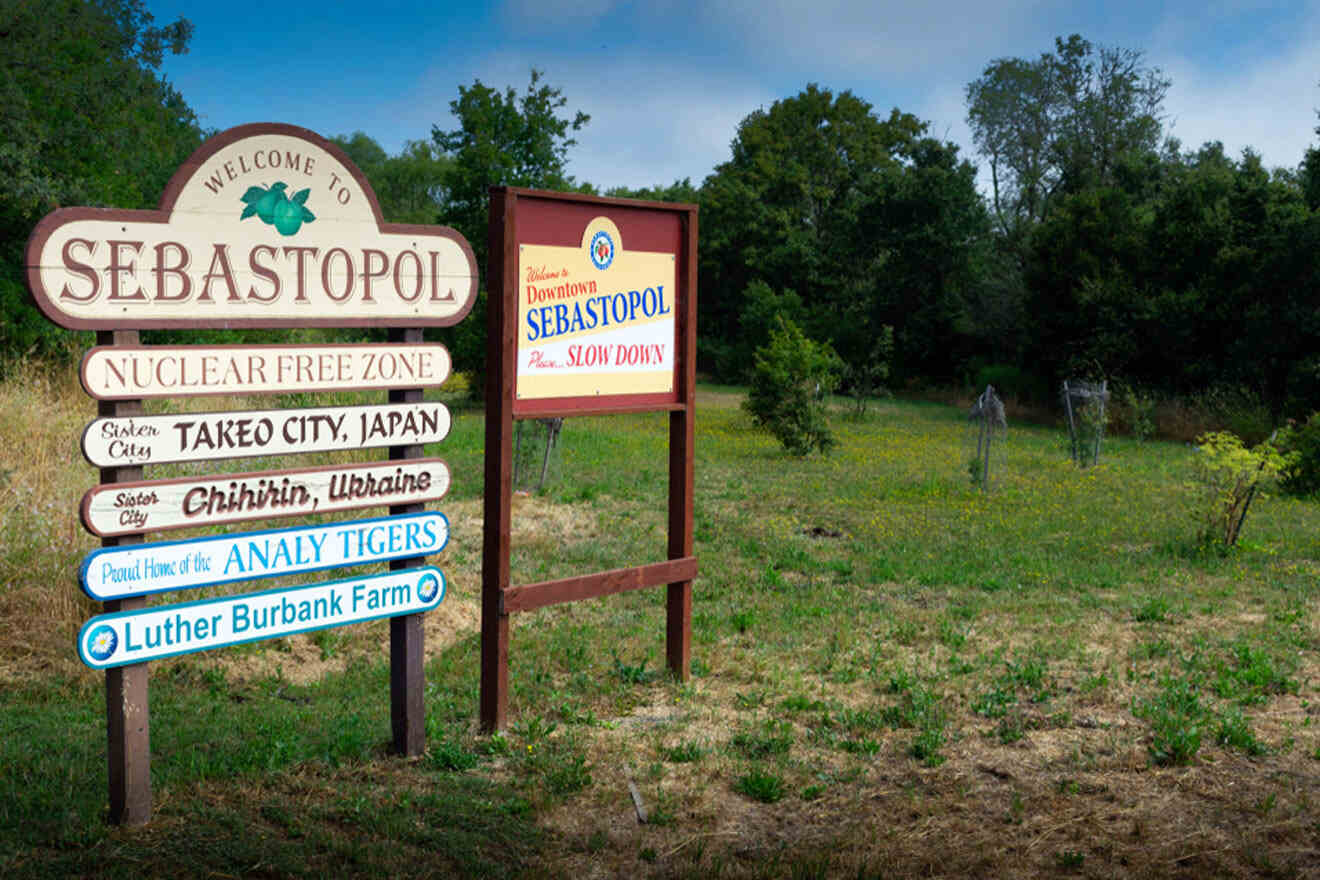 A group of signs in the middle of a field.