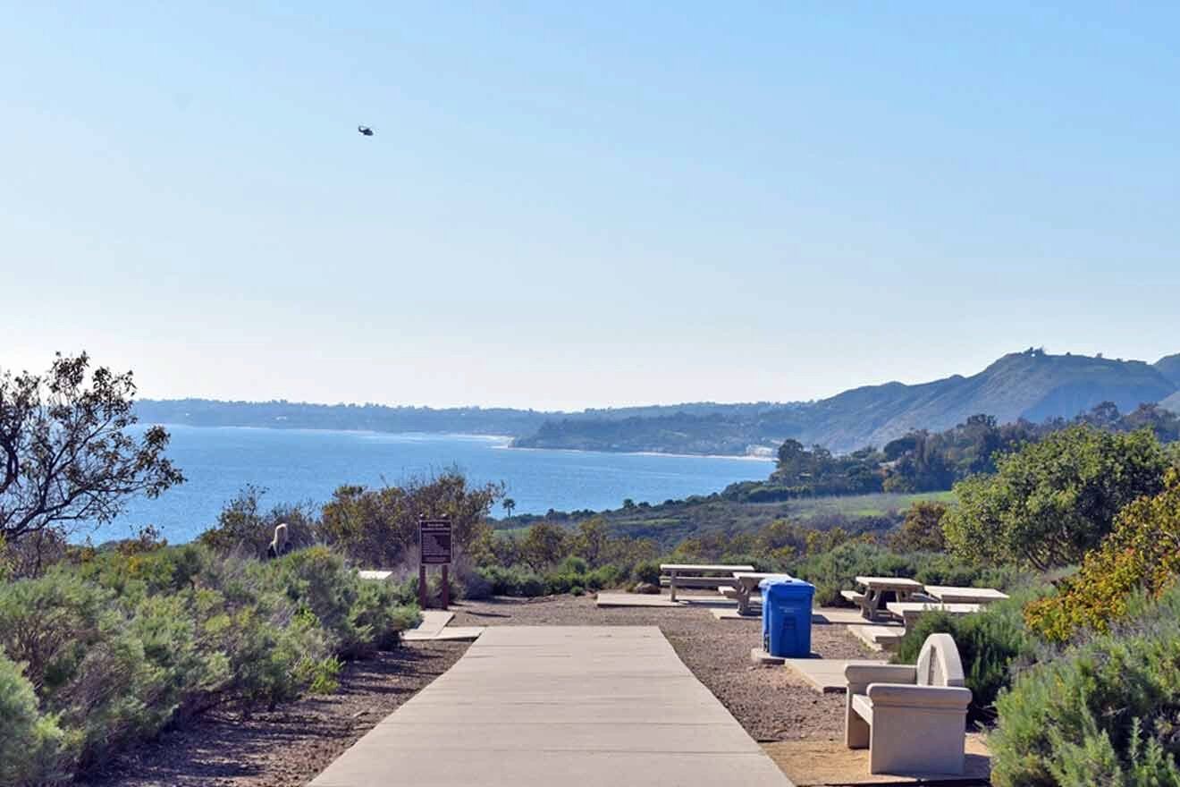 footpath surrounded by lots of greenery leading to the ocean